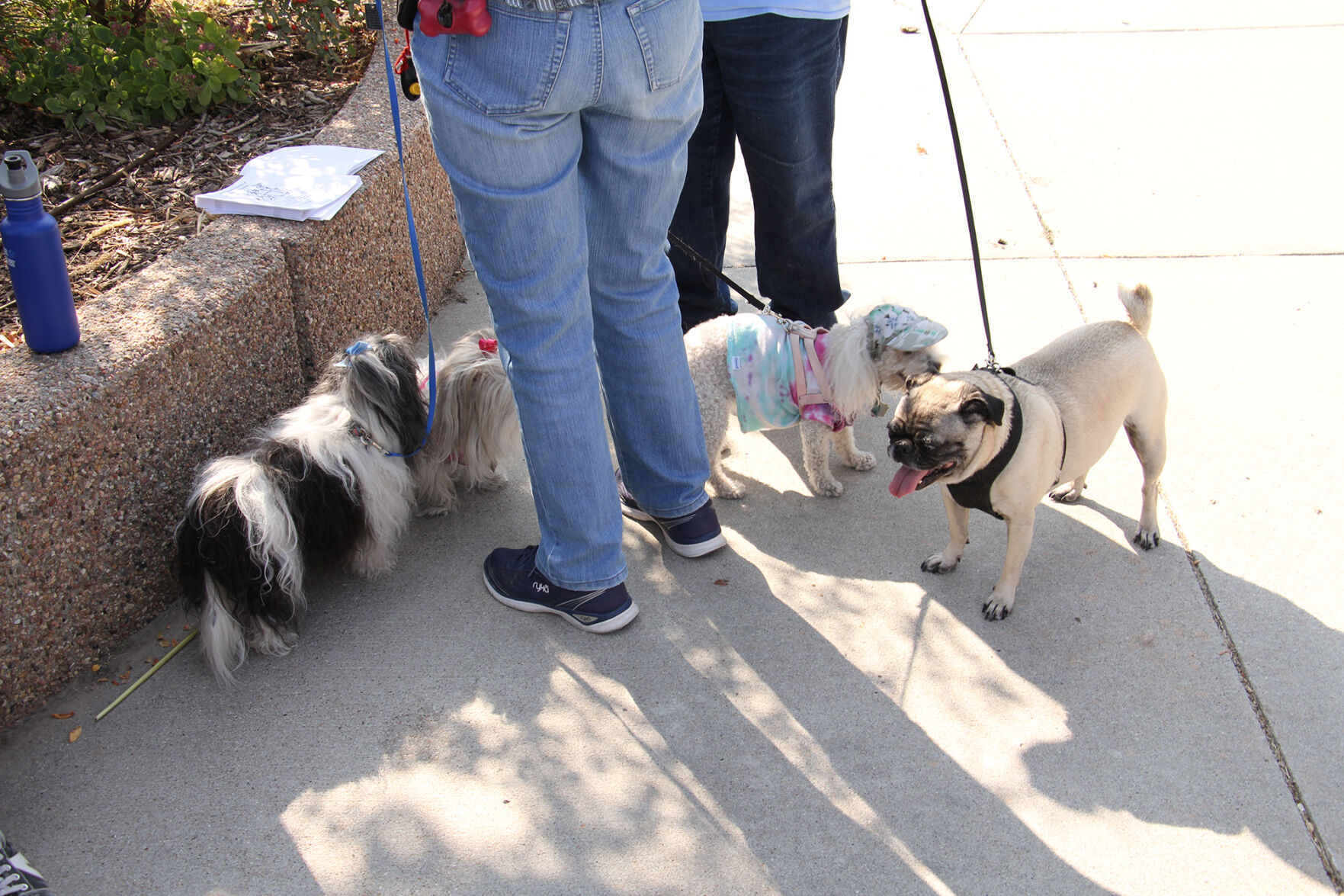 PHOTOS: Pet Blessing